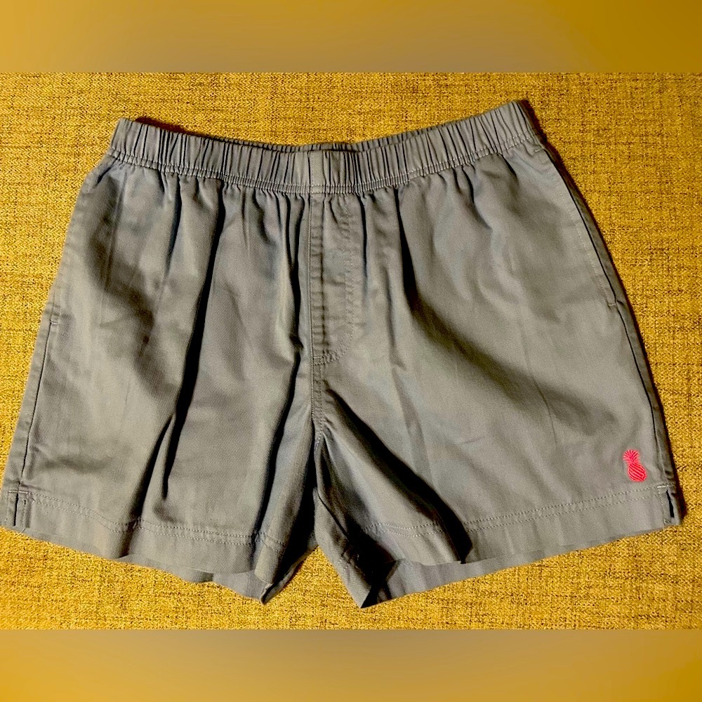 Chubbies Light Blue Men’s Easy Pull-On Shorts